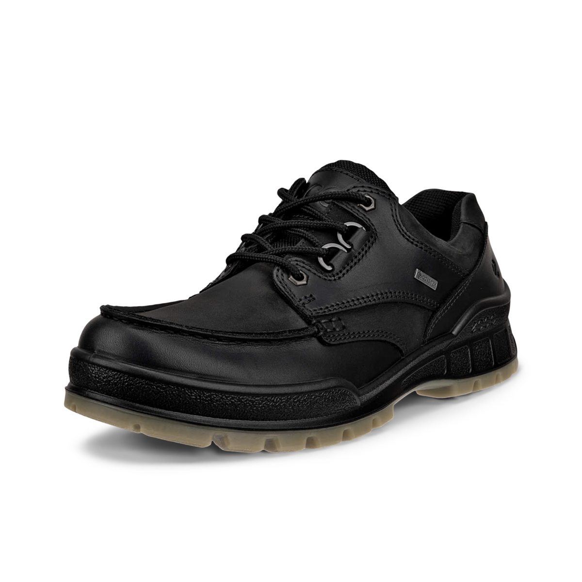 ECCO TRACK 25 GORE-TEX SHOE MEN
