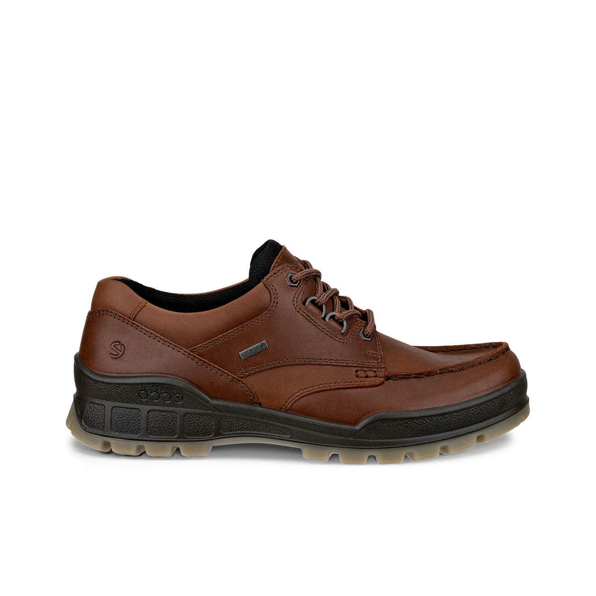 ECCO TRACK 25 GORE-TEX SHOE MEN