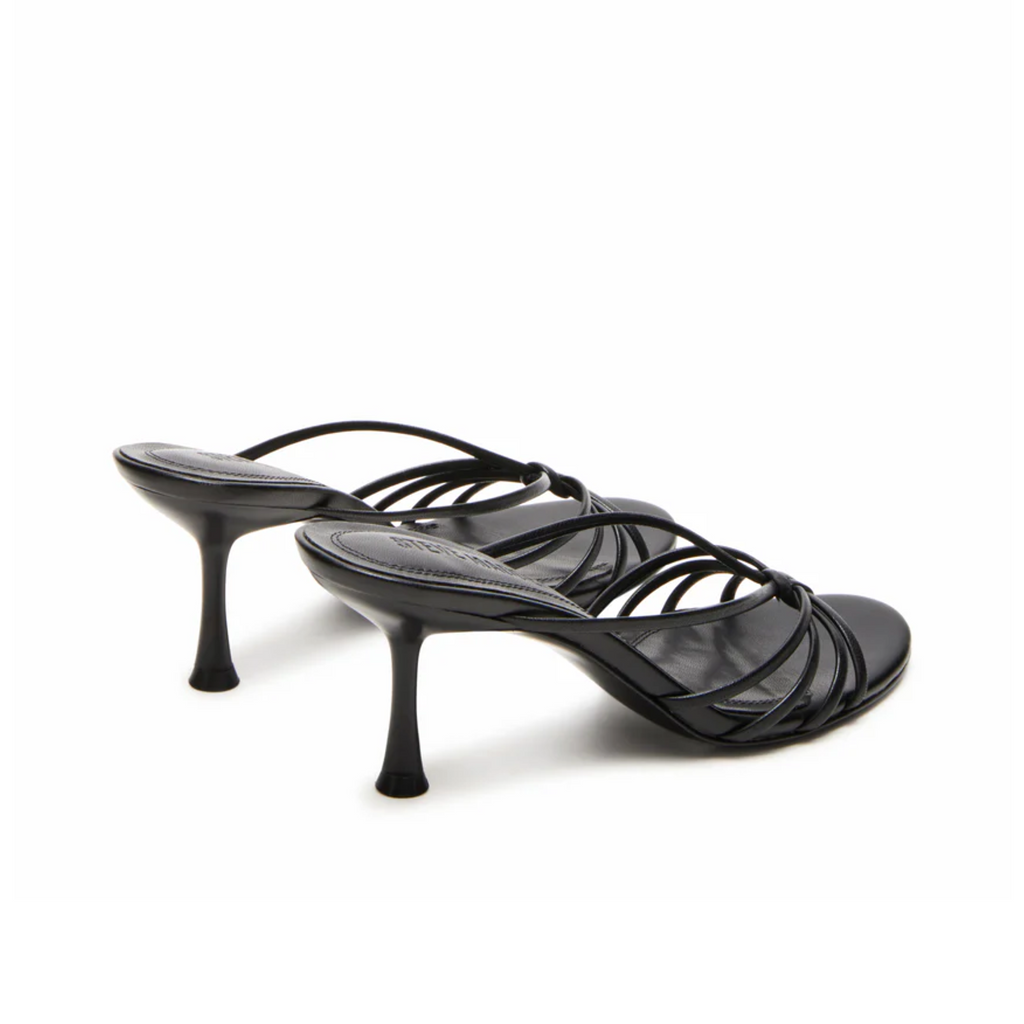 STEVE MADDEN EDNA HEEL WOMEN